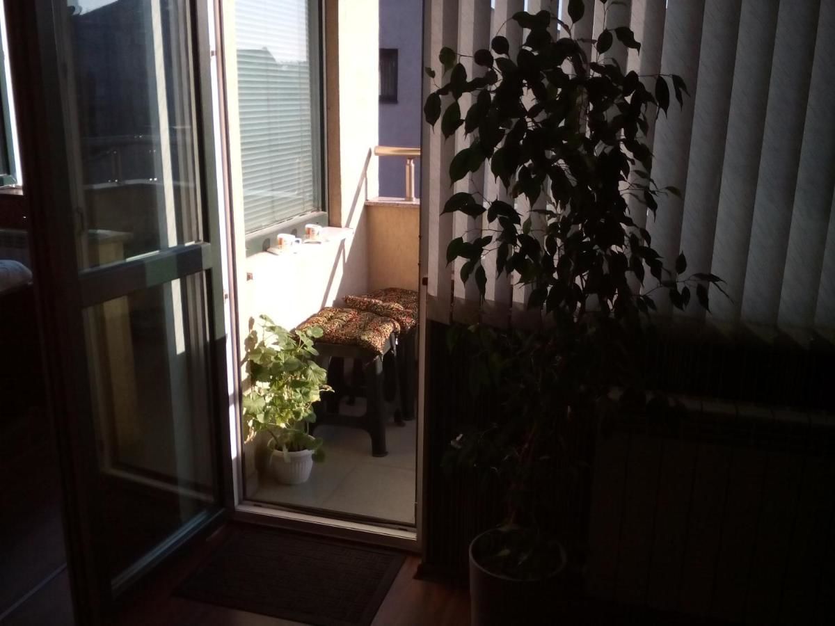 Гостевой дом Central City Rooms София-39