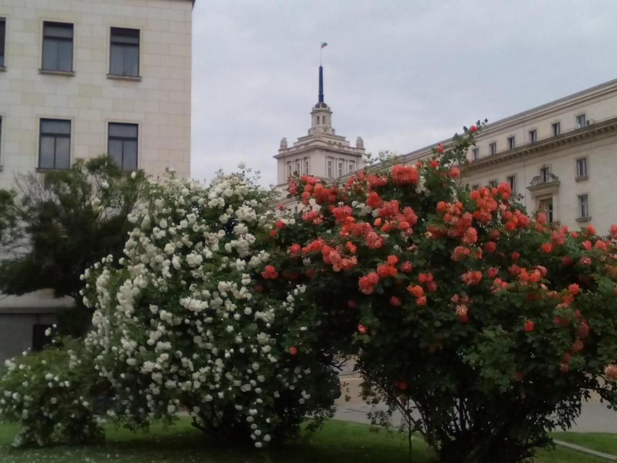 Гостевой дом Central City Rooms София-9