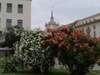 Гостевой дом Central City Rooms София-5