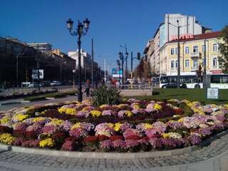 Гостевой дом Central City Rooms София Двухместный номер Делюкс с 1 кроватью и балконом-16