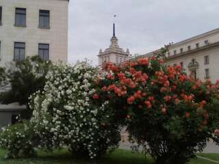 Гостевой дом Central City Rooms София-5