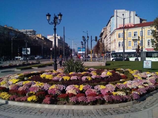 Гостевой дом Central City Rooms София-59
