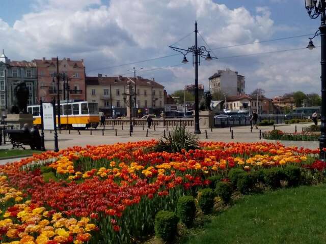 Гостевой дом Central City Rooms София-60